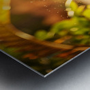 Bulldog Puppy Discovers Sandy Adventure Metal print