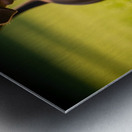 Happy Dachshund Puppy Celebrates Training Success Metal print