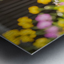 Dachshund Puppy Ready For Adventure In Red Toy Car Metal print