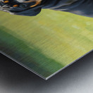 Content Cane Corso Puppy Rests After Big Adventure Metal print