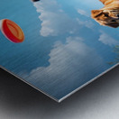 A black and white Border Collie puppy playing frisbee with his f Metal print