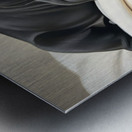 Tired Cane Corso Puppy Resting On Blankets Metal print