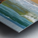 Tired Yorkshire Terrier Puppy Rests On Beach Impression metal