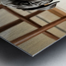 Cane Corso Puppy Stretches After Peaceful Nap Impression metal