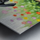 Cane Corso Puppy Playing In Muddy Garden Metal print