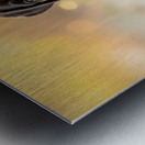 Happy Cane Corso Puppy Cleans Up After Ice Cream Adventure Metal print