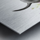 Cane Corso Puppy In Happy Tumble Metal print