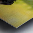 Cane Corso Puppy Discovers Sweet Ice Cream Treat Impression metal