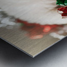 Sleepy Bichon Frise Puppy Naps Among Holiday Wrapping Metal print