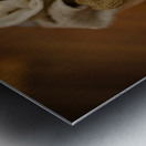 Chihuahua Puppy Naps On Laundry Pile Metal print