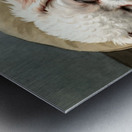 Bichon Frise Puppy Dreams Peacefully Metal print