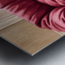 Tiny Chihuahua Puppy Discovers Giant Dog Bed Impression metal