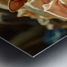 Chihuahua Puppy Discovers Laundry Adventure Metal print