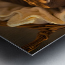 German Shorthaired Pointer Puppy Dreams Peacefully Metal print