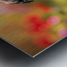 Pug Puppy Discovers Fun Game In Garden Metal print