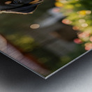 Rottweiler Puppy Gets Tangled In Red Leash Metal print