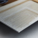 Eager Rottweiler Puppy Hopes For More Scratches Impression metal