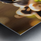 Rottweiler Puppy Ready To Play Metal print