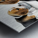 Beagle Puppy Satisfied After Drinking Water Metal print