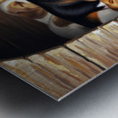 Beagle Puppy Sleeps Peacefully With Puppy Pile Impression metal