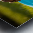 Beagle Puppy Discovers The Kiddie Pool Impression metal