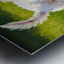 Poodle Puppy Discovers The Kiddie Pool Impression metal