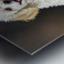 Triumphant Poodle Puppy Completes Paper Bag Adventure Metal print