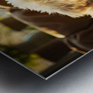 Poodle Puppy Dreams During Story Time Metal print