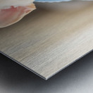 French Bulldog Puppy Snuggles With Favorite Blue Blanket Metal print