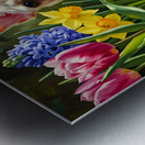 Happy French Bulldog Puppy Rests Among Spring Blooms Metal print