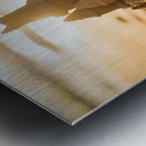 Golden Retriever Puppy Discovers Amazing Sand Castle Metal print