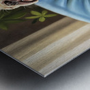 French Bulldog Puppy Sound Asleep Sitting Upright Impression metal