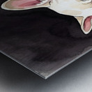 French Bulldog Puppy Sleeps Peacefully Through Night Impression metal