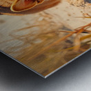 Proud Corgi Pup Admires Digging Achievement Metal print