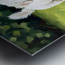 Bichon Frise Puppy Discovers Muddy Puddle Impression metal