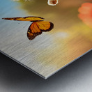 Shih Tzu Puppy Discovers Beautiful Butterfly In Garden Impression metal