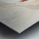 Brave Bichon Frise Puppy Escapes From Tissue Box Impression metal