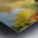 Corgi Puppy Spots Tennis Ball In Garden Impression metal