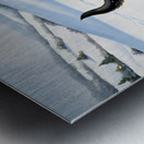 Happy German Shepherd Puppy Rests In Snow Metal print