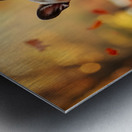 Pug Puppy Discovers Mountain Of Autumn Leaves Metal print