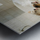 Labrador Puppys First Bath Time Adventure Metal print