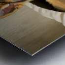 German Shepherd Puppy Snuggles With Cat Friend Impression metal