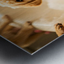 Peaceful Labrador Puppy Enjoying Calm Bath Time Impression metal