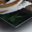 Shih Tzu Puppy Ready To Help In The Garden Impression metal