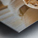 Golden Puppy Finds Spot On Crowded Couch Metal print