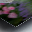 Proud Poodle Puppy Masters Stay Command Impression metal