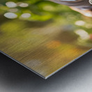 German Shorthaired Pointer Puppies Share Chew Toy Together Metal print