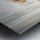 Poodle Puppy Peeking Behind Burgundy Curtains Metal print