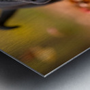 Rottweiler Puppy Discovers Autumn Leaf Pile Metal print