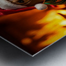 Beagle Puppy Rests After Holiday Adventures Impression metal